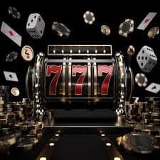 Studio dealer langsung panglima77 dengan kualitas video HD dan multi-kamera